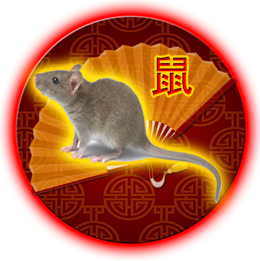 老鼠2021年中国的星座运势
