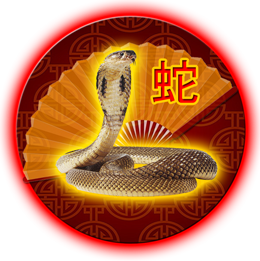 蛇2021年中国的星座运势