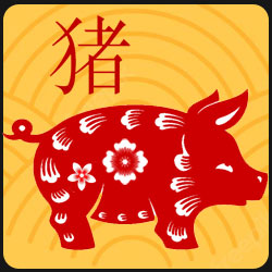 猪2023年中国的星座运势