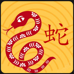 蛇2023年中国的星座运势