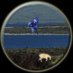 Capricorn-Aquarius Compatibility