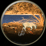 Capricorn-Scorpio Compatibility