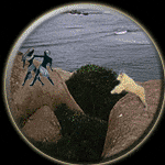 Capricorn-Gemini Compatibility