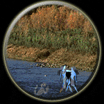Gemini-Scorpio Compatibility