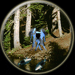 Gemini-Pisces Compatibility