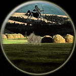 Taurus-Sagittarius Compatibility