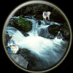 Capricorn-Virgo Compatibility