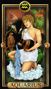 Aquarius Compatibility for 2017