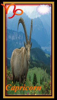 Capricorn Compatibility for 2019 Capricorn Compatibility for 2019