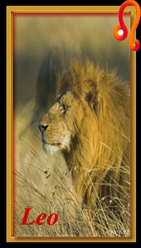 Leo Compatibility for 2019 Leo Compatibility for 2019