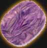 Charoite Birthstone