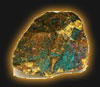 Bornite