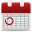 Birth Date