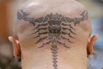 Skorpion