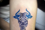 Stier