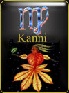 Kanni 2017