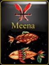 Meena 2017