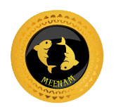 Meena 2019
