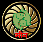 मीणा 2020