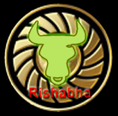 Rishabha 2020