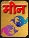मीणा 2022