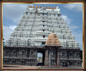 瓦拉达拉贾佩鲁马尔神庙