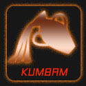 Kumbam - Kumbh - Aquarius