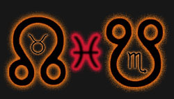 மீனம் - மீன் - மீனம்