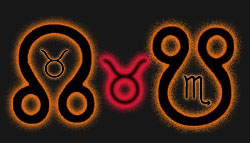 ரிஷபம் - ரிஷபா - டாரஸ்