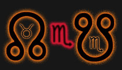 விருச்சிகம் - விருச்சிகா - ஸ்கார்பியோ