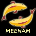 Meenam - Meen - Pisces