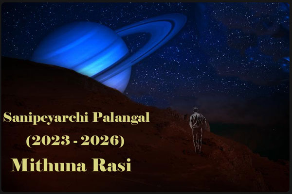 Sani Peyarchi Palangal for Mithuna