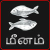 మీనం