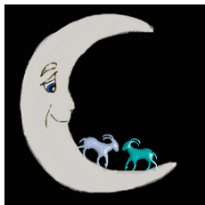moon sign compatibility Capricorn