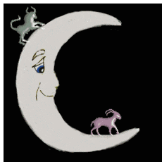 moon sign compatibility Capricorn