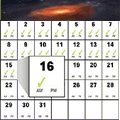 2007 Yearly Calendar