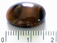 Tiger-Eye