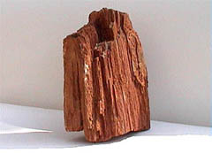 Petrified wood