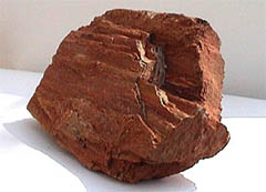 Petrified wood- another view